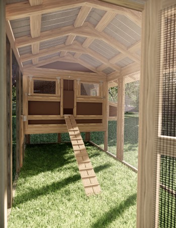DOMO chicken coop 2