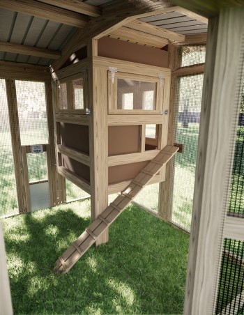 QUADRO - Der Hühnerstall von TusciaPollai - Front 2