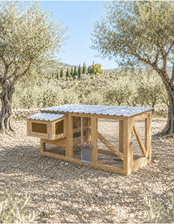 Nucleo chicken coop